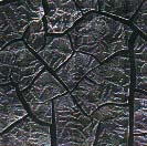 Nativní snímek laboratorní elektronové mikroskopie, který zobrazuje rozpadlé bílkovinné řetězce vzorku krevního séra.